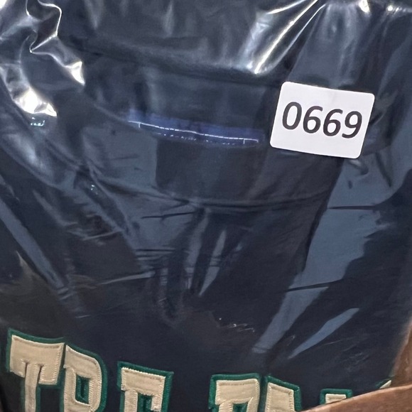 Notre Dame Fighting Irish Embroiderd LG‎ Sweatshirt Vintage Champs Sports - Picture 12 of 12